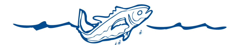Vis in zee logo